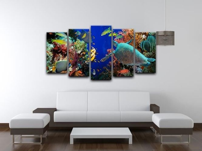 Tropical Anthias fish with net fire corals and shark on Red Sea reef 5 Split Panel Canvas